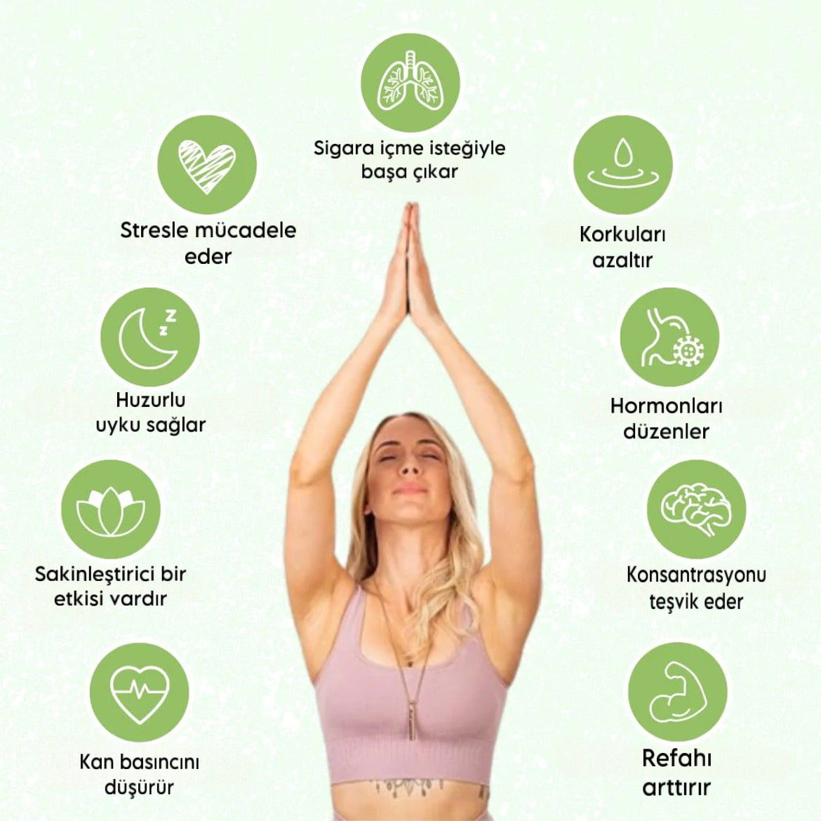 TWINSAS™ 2.0 - Dumansız, Doğal, Sağlıklı - Twinsas